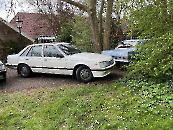 Rondje Groningen 2025_3