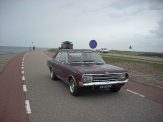 Zeelandrit 2017_117