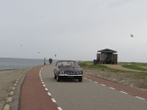 Zeelandrit 2017_73