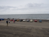 Zeelandrit 2017_78